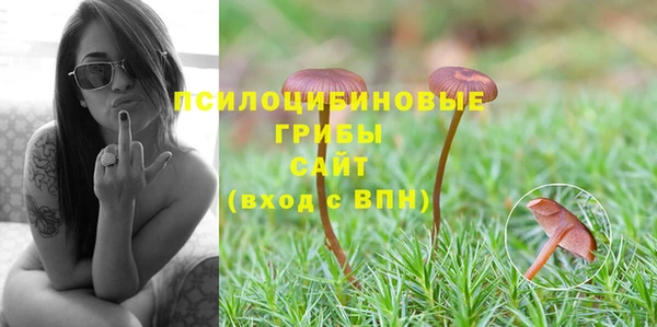 гашик Липки